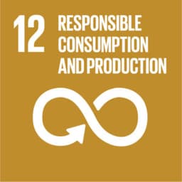 sdg12