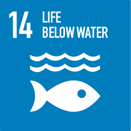 sdg13