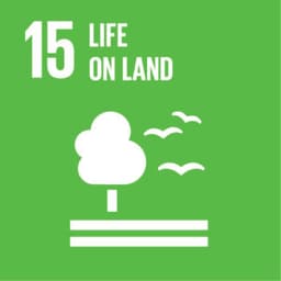 sdg13